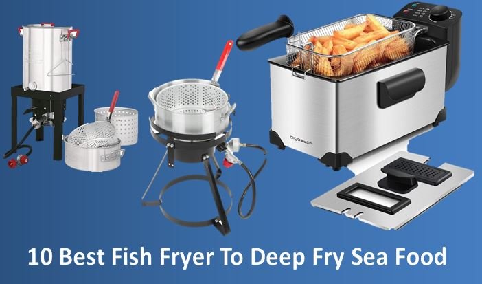 10 Best Fish Fryer of 2022 To Deep Fry Sea Food