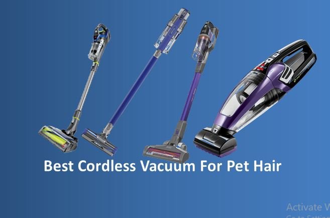Best Cordless Vacuum For Pet Hair